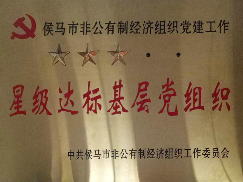 星級達(dá)標(biāo)基層黨組織